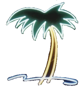 palm tree right